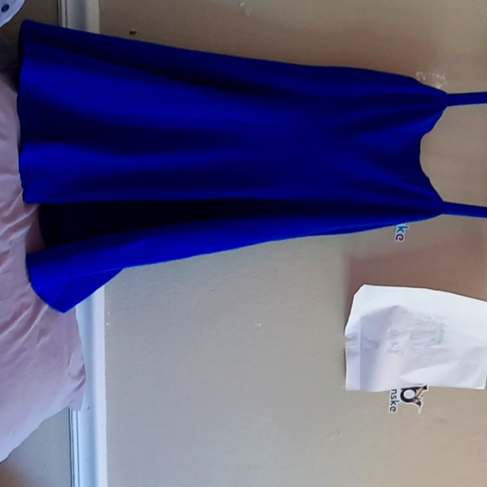 Bailey 44 dress